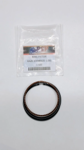 Ring Piston Kaze (Oversize 1.00) - Ring Cincin Seher Seker Diameter 100 Kawasaki Kaze R