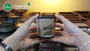 Pot Keramik Bonsai Segi Enam Unik
