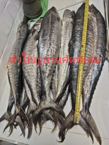 ปลาอินทรีย์เค็มหอมแท้ ระนอง คัดพิเศษ ยก1ตัว น้ำหนัก1000กรัม ราคา590 เนื้อนุ่มเค็มน้อยอร่อยติดปาก