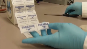 Parafilm/WAXFILM All Purpose Laboratory Film sealing films 4INx125ft Health Accessories Sold by roll
