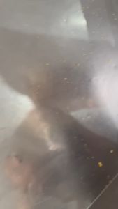 วอลนัท มีเปลือก อบกลิ่นวอลนัท (Walnut) หอม กรอบ อร่อย วัตถุดิบเกรดพรีเมี่ยม ธัญพืชเพื่อสุขภาพ