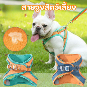 Pattey สายจูงสัตว์เลี้ยง Colorful Reflective เกรดพรีเมี่ยม สายจูงแมว สายจูงหมา