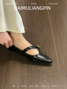 Naimu Liangpin Retro Pointed Toe Low Heel Single Shoes Female Fairy Style Slip-On Mary Jane Leather Shoes for Women
