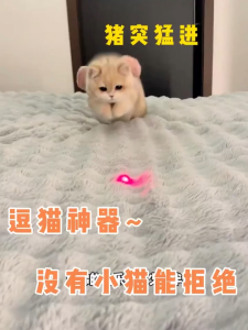 Laser Cat Teasing Pen Laser Cat Teaser Stick Multifunctional Mini Handheld USB Charging Multi Pattern