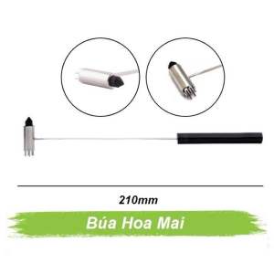 Diện chẩn Cây búa hoa mai nhỏ chính hãng