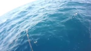 WHYY Tenya Madai Jig Kabura Saltwater Fishing Lure Jigs Head Bait Shrimp Rubber Skirt for Sea Fishing Metal Jig Jigging Lure