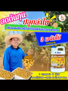 3เอจัมโบ้ ขนาด 4 ลิตร ฮอร์โมนพืช ฉีดพ่นทางใบ เปลือกหนา สร้างเนื้อ สร้างสี บำรุงผล ขยายผลโต ป้องกันผลหลุดร่วง