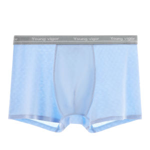 Miiow | Ice Silk Boys Underwear Breathable Short Pants Teenage Development Period Childrens Innerwear Thin Model MiiOW Cat Man