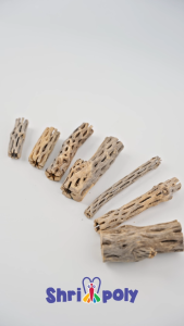 CACTUS CHOLLA WOOD REPTILE WOOD PLANTED SHRIMP TANK AQUARIUM ACCESSORIES