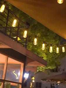 1PC 5M10LED/8M20LED Waterproof Solar LED Papaya Light StringWith 8 Lighting ModesUsed for PartiesCampingand Path Decoration