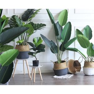 Cây chuối giả chuối rẻ quạt hàng xịn -  Size từ 80cm đến 180cm - 3 nhánh - Cây giả hoa lụa trang trí nhà cửa