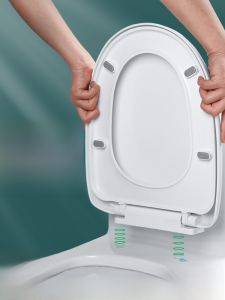 Nắp Bồn Cầu Kiểu Cũ Dày U Hình V Hình O Phụ Kiện Nắp Bồn Cầu Bằng Nhựa PP Có Đệm Từ Trung Quốc Đại Lục Dùng Tại Nhà
