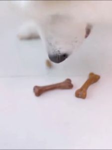 Pet Dog Dental Chew Nones Pet Molar Griding Bone For Oral Hygiene Pet Bone Snack