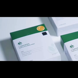 Mặt nạ Car.yophy cho da dầu mụn -10 miếng