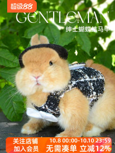 Black And White Plaid Rabbit Couple Outfit Pet Leash Princess Skirt Hat Cute Rabbit Clothing Umi Brand Pet Supplies