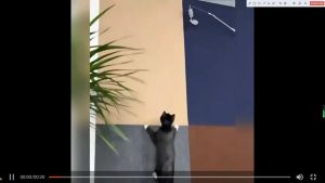Cat Scratching Mat High Quality Cat Climbing Wall Sticker Furniture Anti-Scratch Mat Can Be Sticked Anywhere Cat Scratching Mat Peel and Stick Wall Sticker Self-Adhesive Cat Scratch Cushion Mat Carpet Free Cutting and DIY Fun Play for Cats Pets