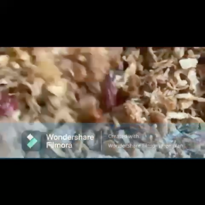 Single Combo - 5packs x Ikan Masin Kriuk-Kriuk - Ready To Eat