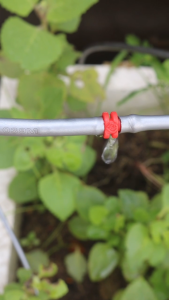 Đầu nhỏ giọt nối tiếp sử dụng ống LDPE 5x7