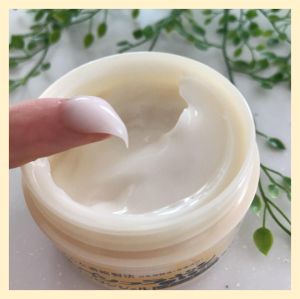 【Direct From Japan】Nameraka Honpo Wrinkle Gel Cream 100g/Refill 100g Soy Isoflavone ceramide