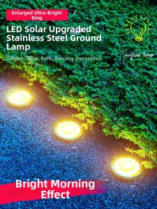 Solar Outdoor Decorative Garden Light