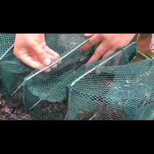【Spot COD】Hot Selling Green dragon BUBU Large fishnet shrimp cage 163