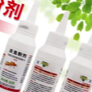 Dagunda Termite Powder Insecticide Powder Large Area Infestation Kill Termites Medicine Insecticide Household 60g Bottled