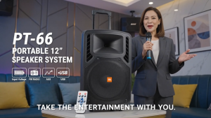 PT-66 12-Inch Portable Bluetooth Speaker System with Wireless Microphone USB Micro SD FM Radio AUX Bass Treble Echo Trolley Handle