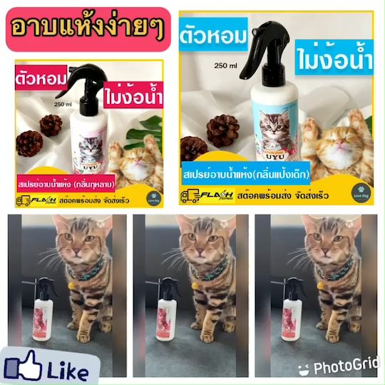 สเปรย์อาบน้ำแห้งแมว กลิ่นแป้งเด็ก ปลอดภัยเลียได้