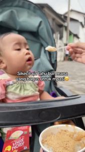 Alala Abon untuk Mpasi Bayi Tanpa MSG Protein Tinggi Pilihan Rasa Ayam Sapi Salmon