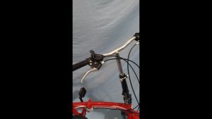 Sepeda Lipat Anak Dan Dewasa 16" 7 Speed Evergreen Rem Disbrake Termurah
