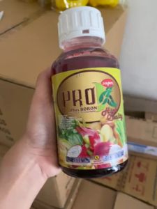Pupuk Kalium Cair PRO K Pupuk Buah Berkualitas Plus boron Kemasan 500ml