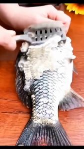 Stainless Steel Fish Scale Remover Fish Scale Remover Cleaner Scraper Peeler Kitchen Tool