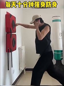🔥Wall Punching Pad 🔥Boxing Punch Training Sandbag 🔥Home Boxing Punch Pad