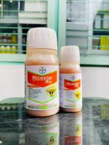 Herbisida Sistemik RICESTAR XTRA 89 OD dari BAYER MANTAP