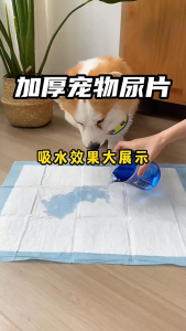 【Free Pads Induction Spray】Dog Training Pee Pads Per Pet Wee Pads Economical Thickened Urine Pad with Good Absorbency