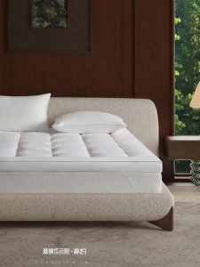 KANGERXIN | Anti Mite Mattress Pad