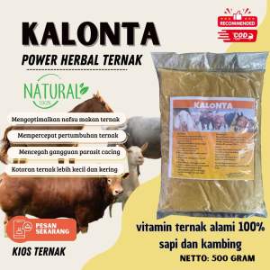 JAMU TERNAK HERBAL KALONTA. VITAMIN PENGGEMUKAN SEGALA TERNAK. SAPI KAMBING DOMBA KERBAU KUDA BABI