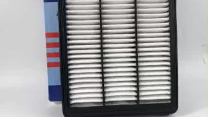 Lọc gió động cơ dùng cho xe Tucson máy xăng Sportage máy xăng. Mã OEM 28113-D3300