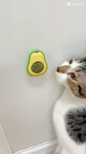 VIÊN CATNIP BẠC HÀ DÁN TƯỜNG CHO MÈO HÌNH QUẢ BƠ GIẢM STRESS VÀ LÀM SẠCH RĂNG