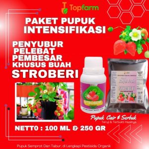 Pupuk Stroberi Berbuah Lebat