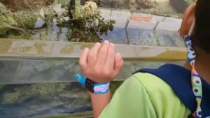 สายรัดข้อมือป้องกันเด็กหาย พร้อมพิมพ์ชื่อฟรี