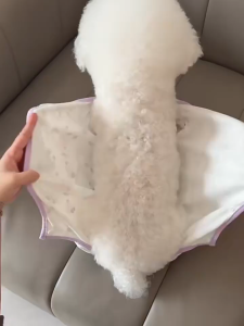 Jumsuit gấu viền ngừa rụng lông / quần áo cai sữa hậu phẫu giữ ấm bụng dành cho chó mèo - T3 PETS SHOP
