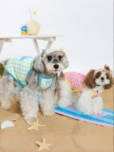 Mooki pet | Breathable Small Dog Vest