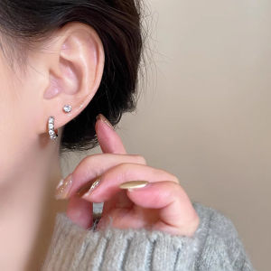 Elegant Small Zircon Earrings Womens Unique Design High-End Fashionable Versatile Ear Jewelry New 2025