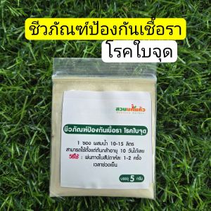 ชีวภัณฑ์ป้องกันเชื้อราและรักษาโรคใบจุด ผักไฮโดรโปนิกส์