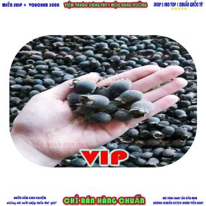 (CHỌN 1)9kg SIM RỪNG NÚI CAO KHÔ VIP-BỒI BỔ SỨC KHỎE-TĂNG SỨC ĐỀ KHÁNG-NGÂM RỰU NGON-THƠM-ÊM ĐỈNH