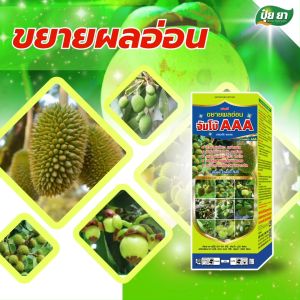 ขยายผล เร่งน้ำหนัก เติมแป้ง บำรุงผล สร้างเปลือก ขั้วเหนียว ฮอร์โมนพืช ป้องกันผลร่วง ผลแตก ปุ๋ยยา 500 ซีซี