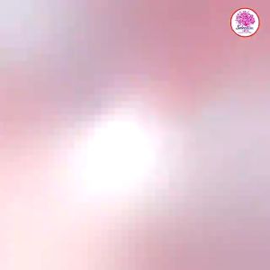 FEMME || Kapas Selection Special Facial Cotton Special Lapis Tipis - Kapas Tipis - Kapas Kecantikan Tebal - Kapas Pembersih Wajah