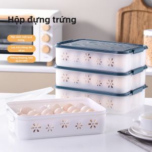 Transparent Compartmentalized Egg Storage Box