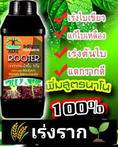 Rooter -3พลัง🌱สูตรเร่งราก🌾เร่งใบ🌱ต้นโตไว🌾สูตรรวมธาตุRooter 500ml.
